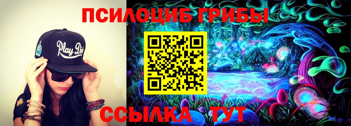 Балашиха  Псилоцибиновые грибы прущие грибы  Вход с VPN  хочу наркоту  Псилоцибиновые грибы Cubensis 
